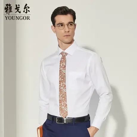 【DP免烫】D系雅戈尔衬衫秋季新款长袖衬衫柔软商务休闲抗皱衬衣图片