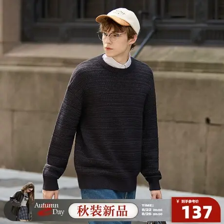 8.22/20点 上新唐狮2025秋季男士圆领毛线衫暗纹肌理绞花小众设计商品大图