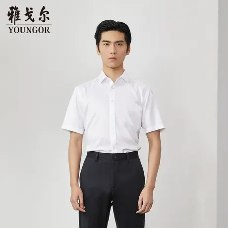 【商场同款】雅戈尔男士短袖衬衫春夏新款官方商务休闲短袖衬衫男商品大图