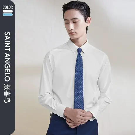 报喜鸟2023春季新款男商务正装长袖衬衫直筒经典款上班西服衬衣男图片