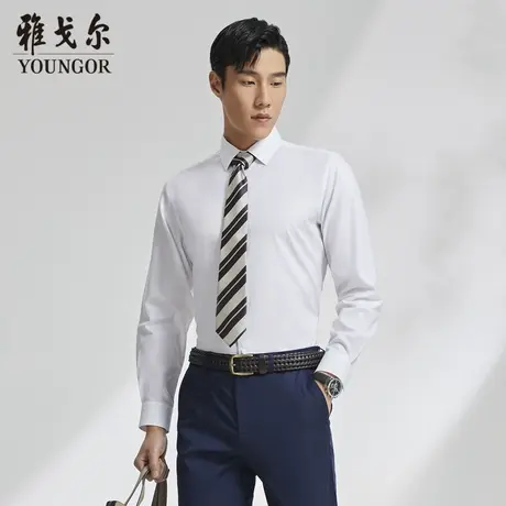 【TNDP免烫】D系雅戈尔衬衫秋季新款商务纯棉100支装衬长袖衬衫商品大图