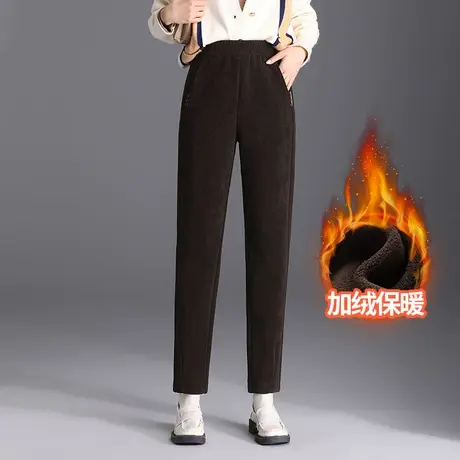 加绒哈伦裤女秋冬2023新款松紧高腰显瘦小脚萝卜裤时尚通勤休闲裤商品大图