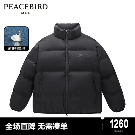 【哈利波特联名】太平鸟男装2023年冬季新款立领羽绒服B1ACD4426商品大图