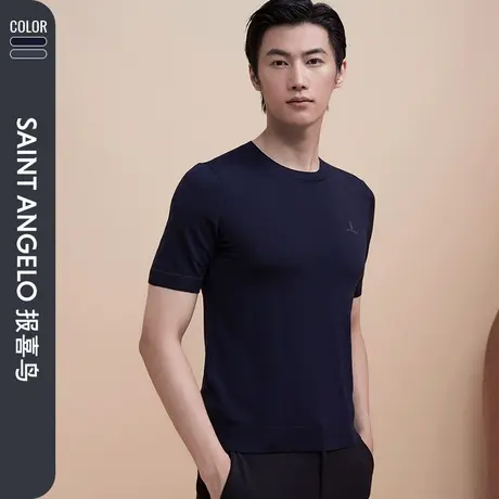 报喜鸟男装秋季新款男士时尚休闲短袖圆领羊毛衫修身套头纯羊毛衣图片
