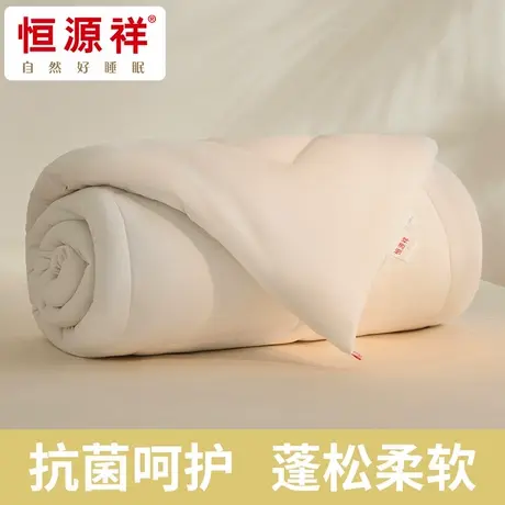 恒源祥被子宿舍单人学生儿童幼儿园宿舍春秋四季棉被芯纤维小冬被商品大图