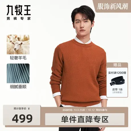 [时尚毛衫]九牧王男装羊毛衫2023秋冬新款时尚百搭多色圆领毛衣BN图片
