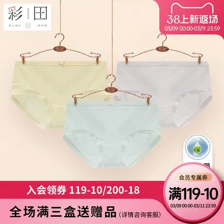 彩田夏季新款中腰透气蕾丝提花蝴蝶结茶多酚抗菌底裆女士三角内裤图片
