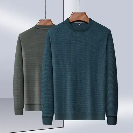 春秋男士提花纹理卫衣圆领华夫格运动上衣t恤休闲宽松长袖打底衫商品大图