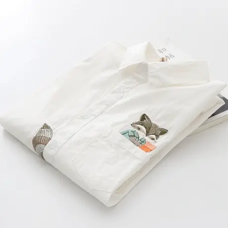 春装2020小清新文艺刺绣白色衬衫女长袖职业打底百搭纯棉学生上衣图片