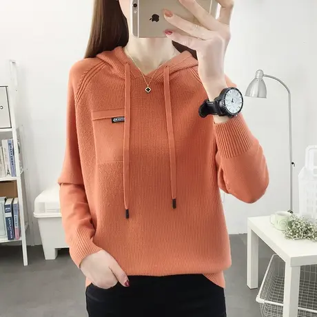 连帽针织衫女2023秋冬新款宽松毛衣洋气百搭时尚卫衣外穿上衣长袖商品大图