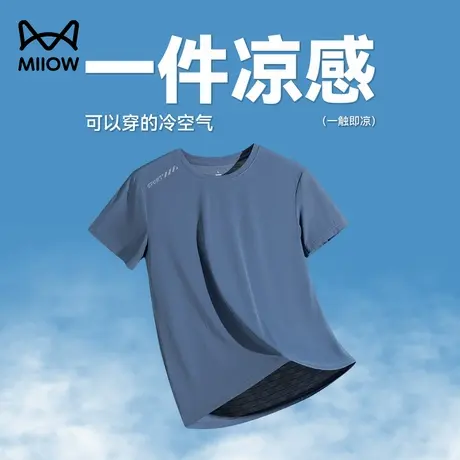 猫人凉感短袖T恤男夏季薄款体恤2025网眼运动休闲冰丝男士速干衣商品大图