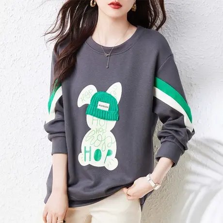 圆领卫衣女春秋季新款宽松加大码女装胖妈妈减龄百搭显瘦遮肚上衣商品大图