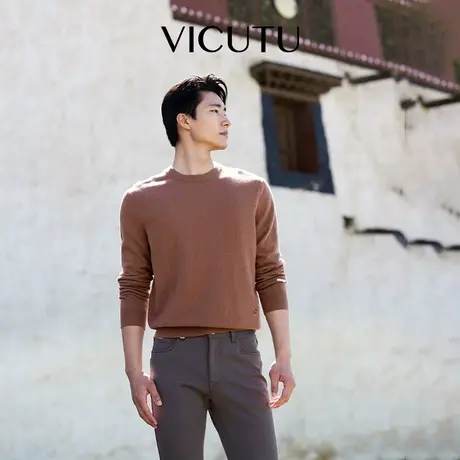 VICUTU威可多男士长袖针织衫秋季舒适亲肤百搭纯山羊绒毛衣图片
