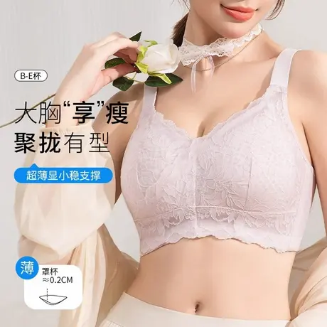 Shaply/莎莲妮内衣女大胸显小薄款软钢圈调整型上托聚拢收副乳商品大图