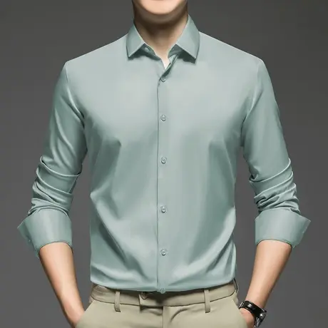 男士衬衫长袖秋季薄款免烫抗皱衬衣轻熟风高级感商务正装休闲寸衫商品大图