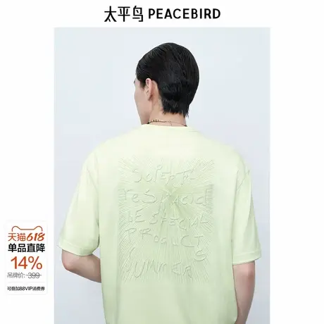 【商场同款】太平鸟男装T恤25夏季新款立体绣花短袖潮B2CNF2517 &图片