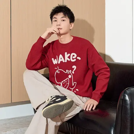 唐狮秋冬季新款毛衣男生红色针织上衣圆领过年款毛衫学生装宽松TE图片