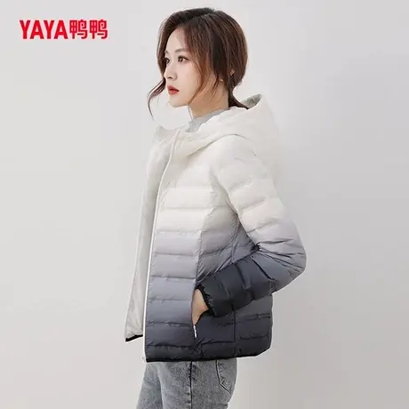 鸭鸭羽绒服女短款2024年秋冬新品小个子渐变轻柔百搭连帽外套图片