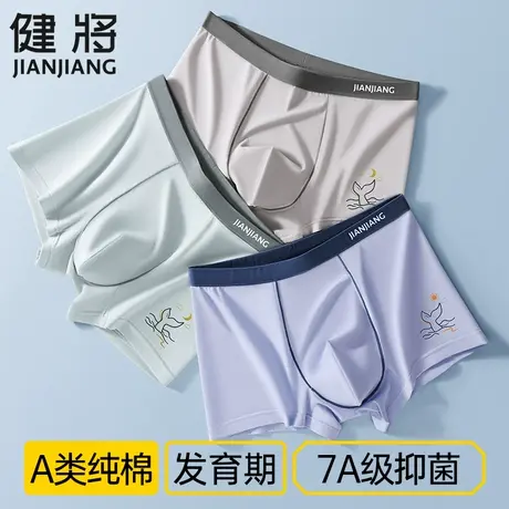 健将青少年内裤男生大童发育期抗菌四角短裤初高中生学生平角裤头商品大图