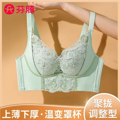 芬腾女调整型全罩杯内衣小胸聚拢无钢圈防下垂收副乳大胸显小胸罩商品大图
