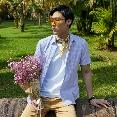 【DP免烫】D系雅戈尔衬衫夏季商务休闲柔软舒适凉感百搭短袖衬衫商品大图