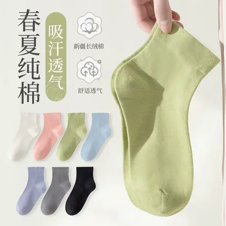 月子无骨袜子女士中筒袜纯棉春秋短袜ins潮网红款短筒袜夏季薄款商品大图