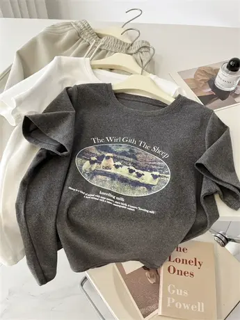 气质灰~复古印花磨毛圆领正肩短袖T恤女春秋季半袖chic打底衫上衣商品大图