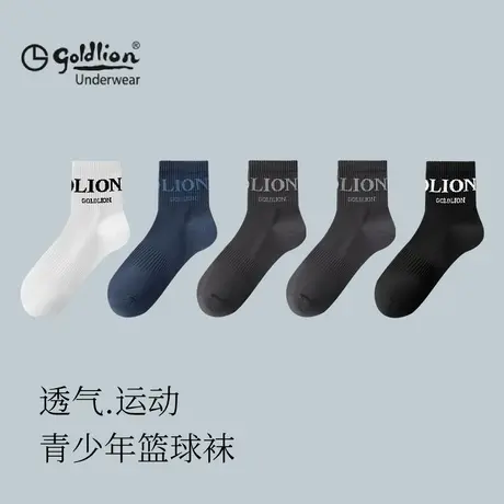 【顺】金利来青少年男袜2025新款夏季薄款透气潮流字母运动休闲袜商品大图