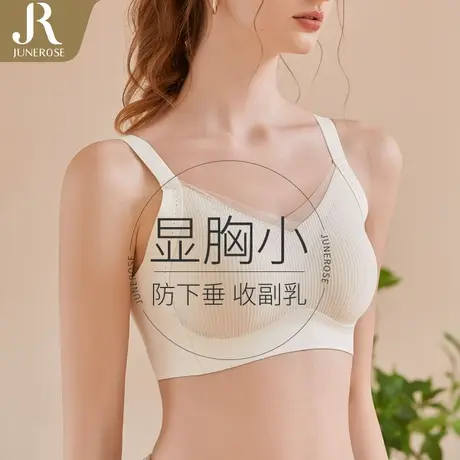 六月玫瑰软支撑无钢圈内衣大胸显小收副乳防下垂固定杯无痕薄款商品大图