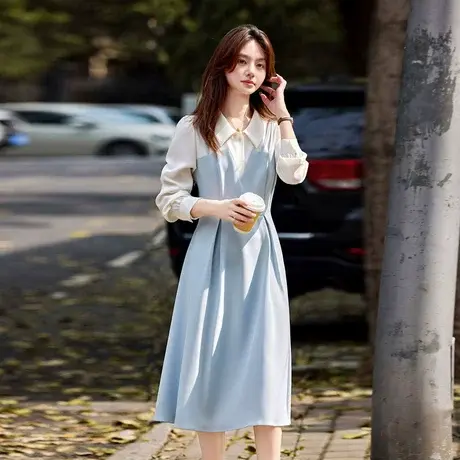 时尚气质设计感连衣裙2024年秋季新款女拼接假两件通勤街头感长裙商品大图