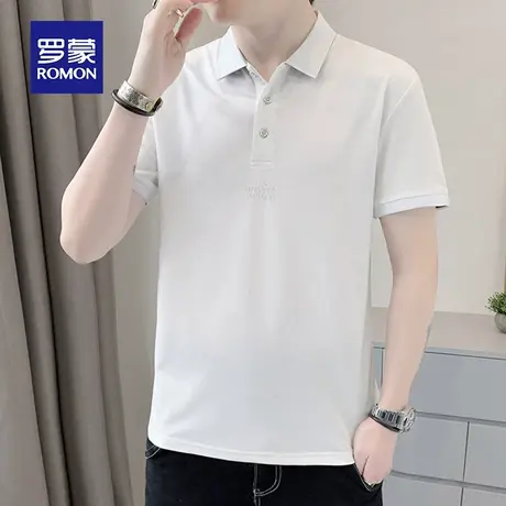 罗蒙男士短袖Polo衫夏季薄款商务休闲冰天丝带翻领男装T恤上衣服商品大图