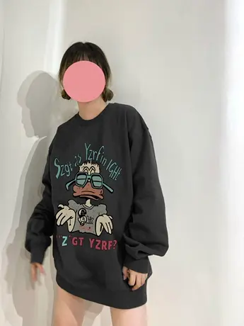 圆领卫衣女春秋薄款宽松美式复古小个子慵懒风港味chic无帽上衣潮图片