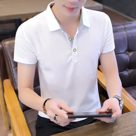 短袖T恤男士翻领休闲夏季新款潮流polo衫有领半袖体恤修身上衣服商品大图