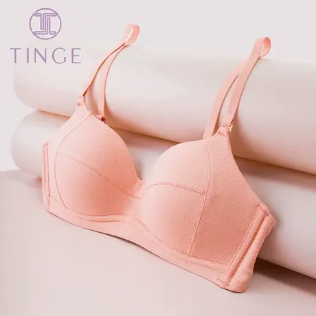 TINGE美背夏季薄款内衣女大胸显小文胸无钢圈性感少女聚拢胸罩商品大图