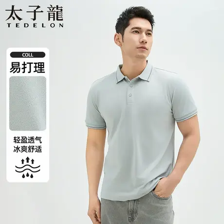 TEDELON/太子龙25年夏季新品清爽透气经典商务休闲翻领男士POLO衫图片