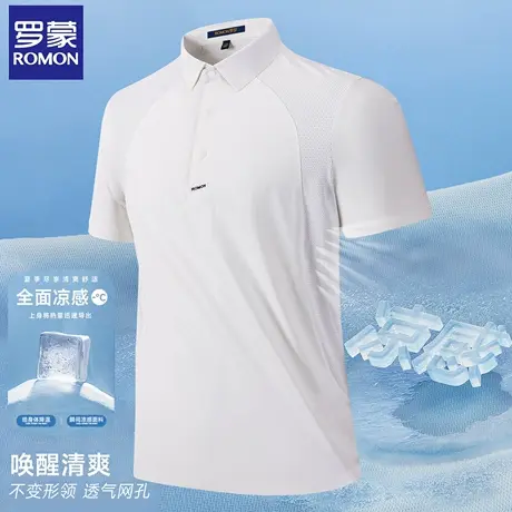 【品牌专版】罗蒙户外POLO衫男夏季速干透气短袖男士健身运动T恤图片