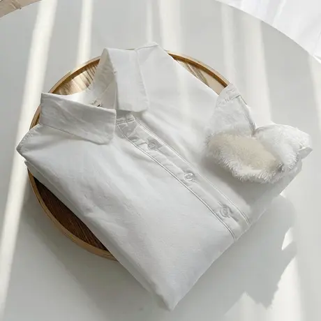 秋冬装韩版小清新文艺加绒加厚纯棉白衬衫女学生职业百搭打底衬衣图片