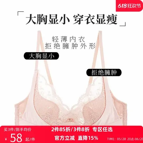夏娃的诱惑内衣女法式软钢圈大胸显小文胸夏聚拢薄款缩胸棉围抗菌商品大图