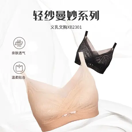 【2023新品】雪伦义乳文胸假胸义乳胸罩术后抹胸网纱无钢圈2301图片