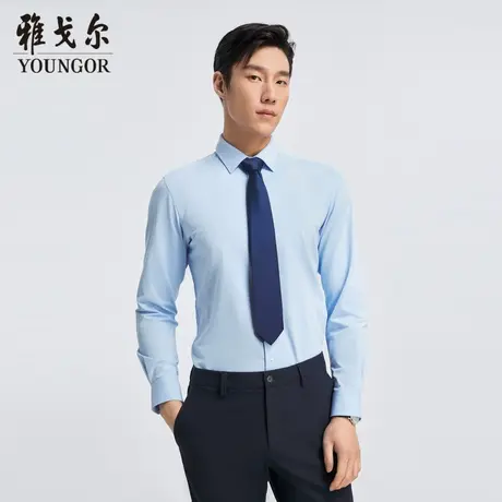 雅戈尔官方正品  商务长袖衬衫男士衬衣商品大图