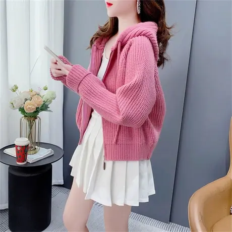 短款小个子连帽软糯毛衣外套秋季2023年新款宽松纯色拉链针织开衫商品大图