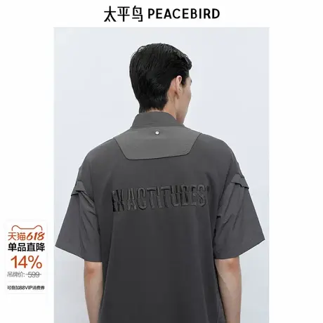 【商场同款】太平鸟男装T恤25夏季新款阔版重磅刺绣潮 B2CNF2D10商品大图