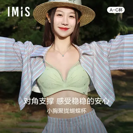 爱美丽IMIS商场内衣春秋无钢圈刺绣小胸聚拢3/4中厚文胸IM17BGX1图片