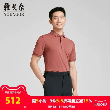 【商场同款】雅戈尔男士短袖T恤夏季新款官方商务休闲短袖T恤衫男商品大图