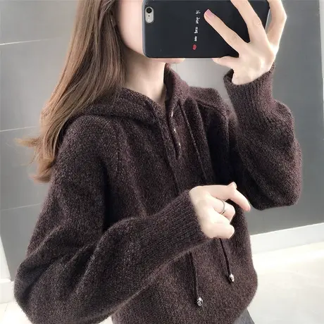 女士毛衣新款2023爆款宽松秋装外穿连帽雪尼尔卫衣慵懒风水貂绒图片