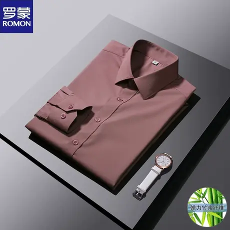 罗蒙长袖衬衫男士2024春季新款休闲竹纤维职业工装寸衫商务衬衣男商品大图
