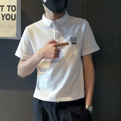 夏季男士t恤polo衫短袖翻领半袖刺绣潮流潮牌简约百搭休闲体恤商品大图