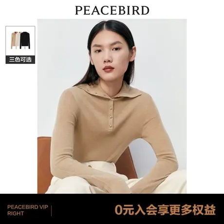 【商场同款】太平鸟女装2023年冬季新款翻领打底衫A1EBD4325商品大图