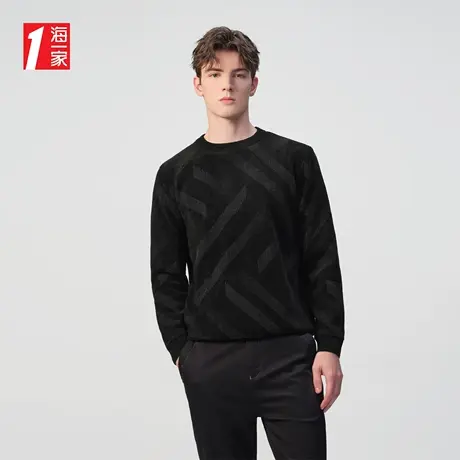 海一家时尚几何花纹2023冬季新款加绒保暖舒适圆领长袖针织衫男商品大图