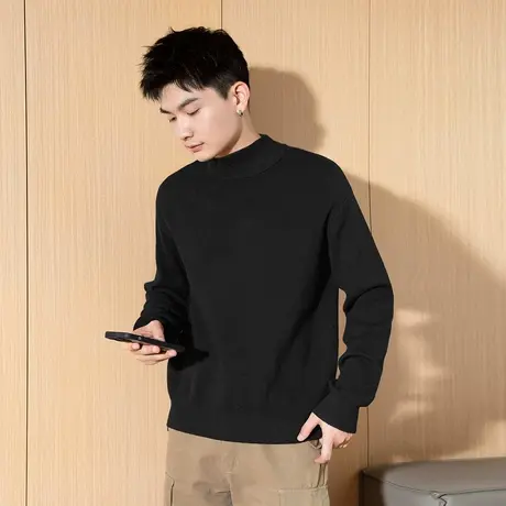 唐狮秋冬新款半高领毛衣打底衫商务休闲纯色针织内搭男款毛衫TD图片